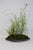 Muck-O Bonsai Muck Keto Soil For Making Kokedama, Kusamono and Seki-Joju (accent plants, rock plantings and moss balls)