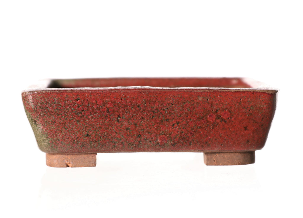 Tokoname Shujakuan Red & Green Glazed Shohin Rectangle Bonsai Pot- 4" x 3" x 1.25"