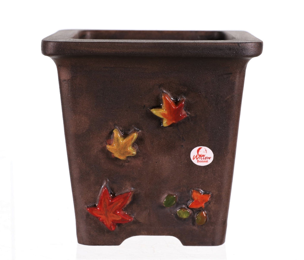 Handmade Autumn Maple Cascade Pot by Willow Bonsai- 5.25"x 5.25" x 5"