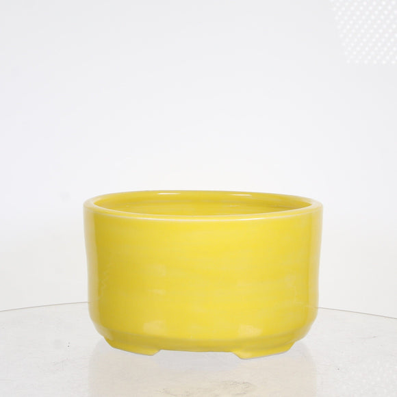 Byron Myrick-Yellow Oval Bonsai pot-  6.5