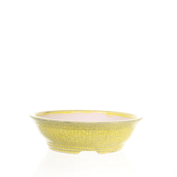 Sam Miller Glazed Yellow Round Bonsai Pot - 8.5 