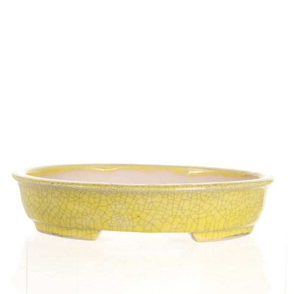 Sam Miller Glazed Yellow Oval Bonsai Pot - 11 