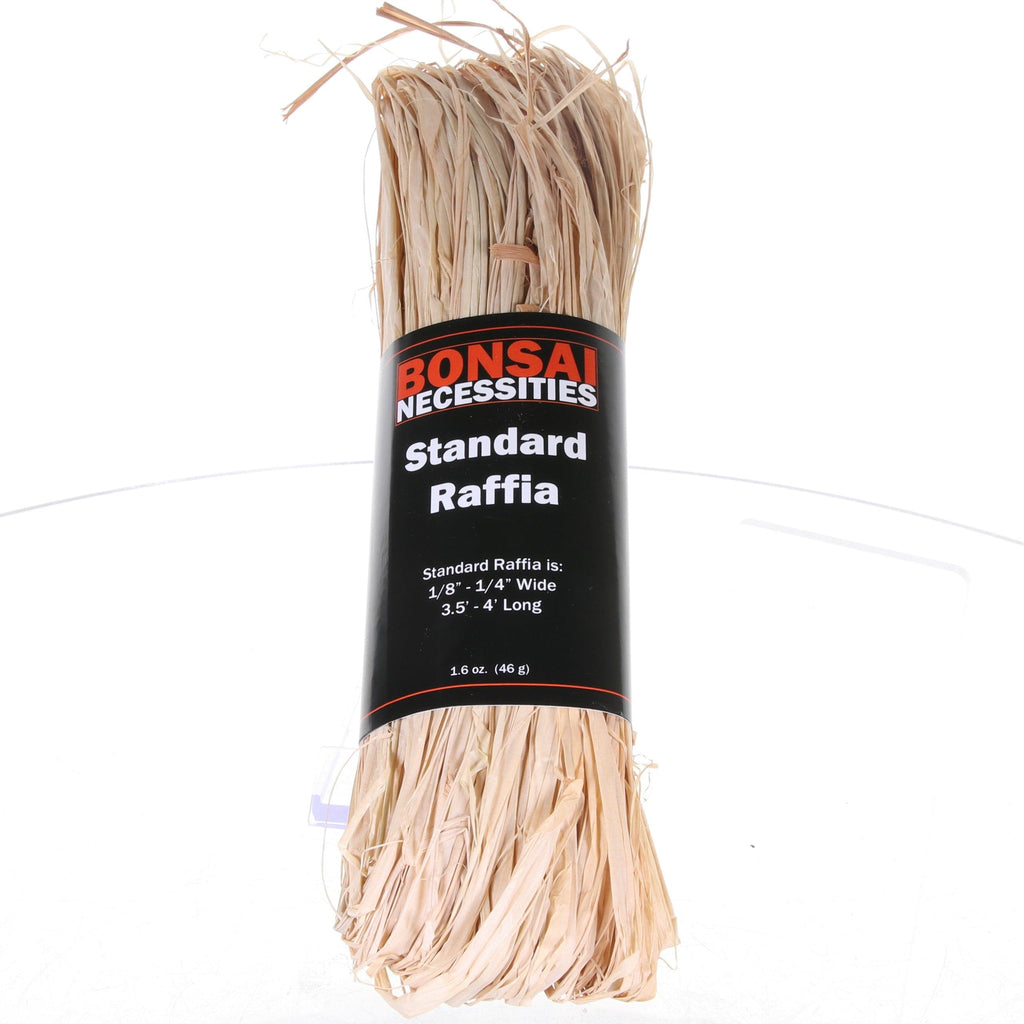 Bonsai Necessities Standard Bonsai Raffia Bundle - 1/10 Pound -  3-4 Feet Long & 1/8" -1/4" Wide