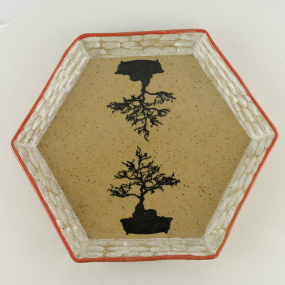 Jodi Fox Tan and Orange Hexagon Bonsai Sushi Plate - 9.75