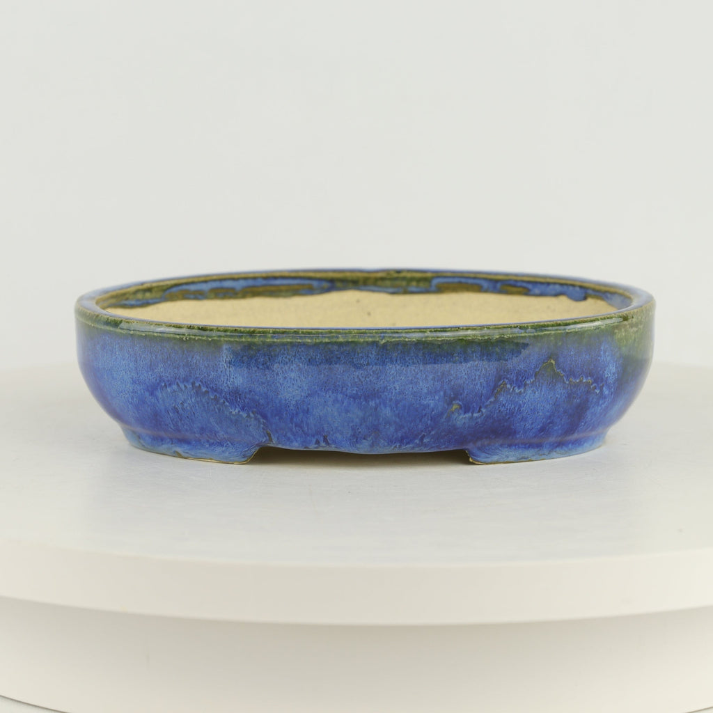 Roy Minarai Glazed Blue Oval Bonsai Pot - 7.75" x 6" x 1.5"