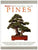 Pines - Growing and Styling Japanese Black Pines and White Pines Book - Bonsai Today Masters' Series