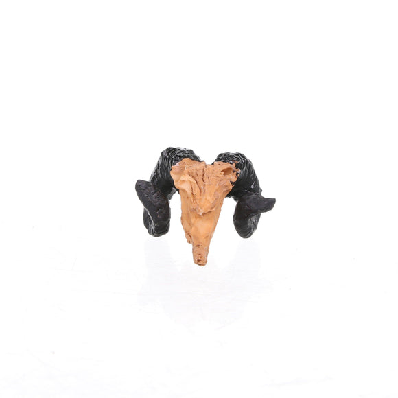 Bonsai, Penjing and Fairy Garden Figurines - Mini Dinosaur Ram Desert Skull